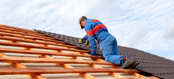 Best Roof Maintenance and Cleaning  in Clinton, MO